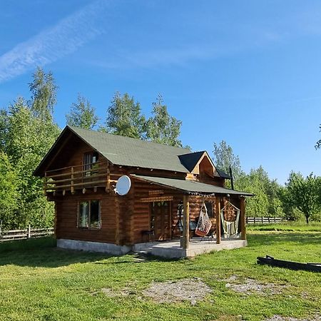 Musketeers Cabin Porumbacu de Sus Εξωτερικό φωτογραφία
