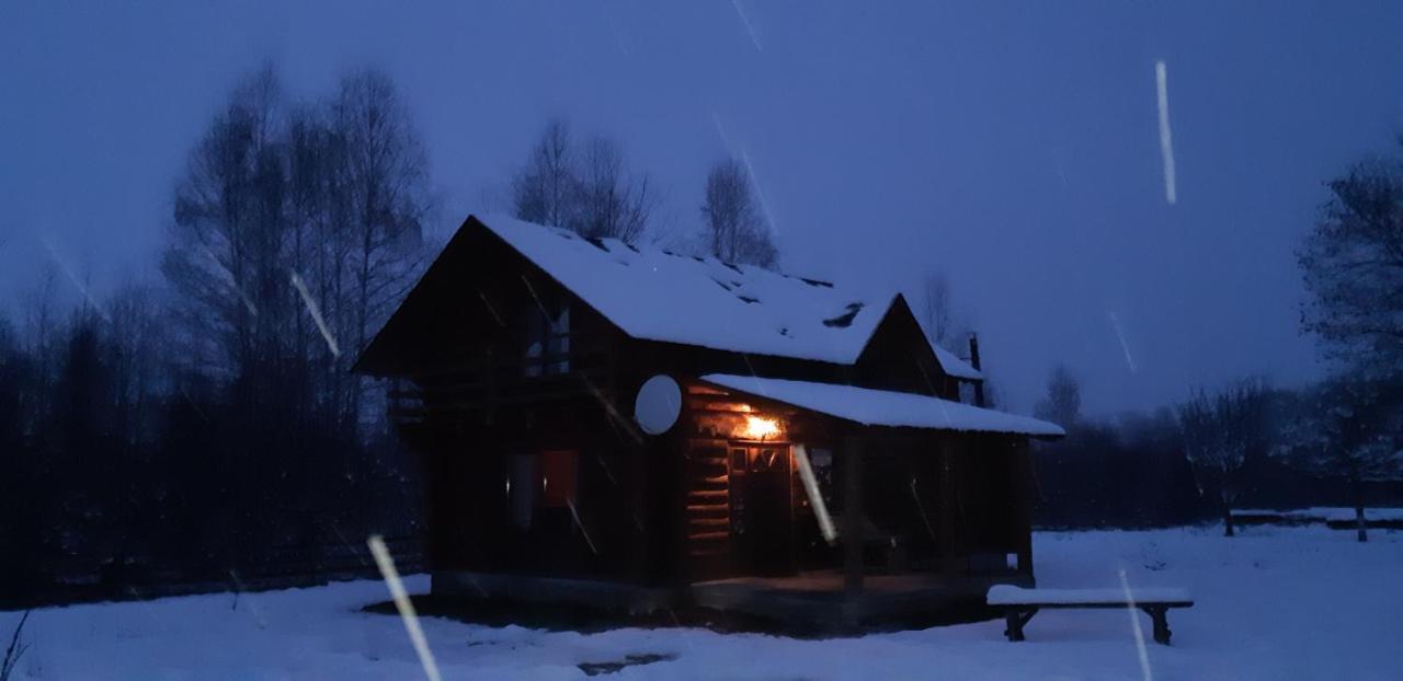 Musketeers Cabin Porumbacu de Sus Εξωτερικό φωτογραφία