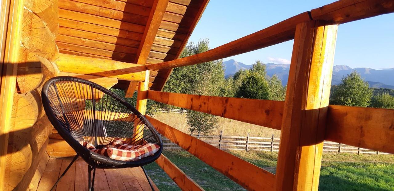 Musketeers Cabin Porumbacu de Sus Εξωτερικό φωτογραφία