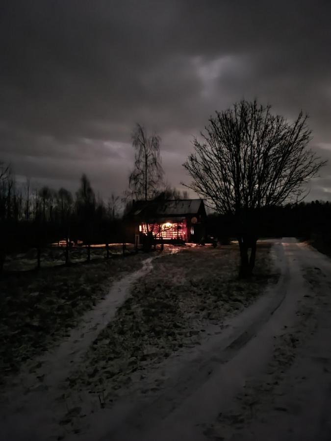 Musketeers Cabin Porumbacu de Sus Εξωτερικό φωτογραφία