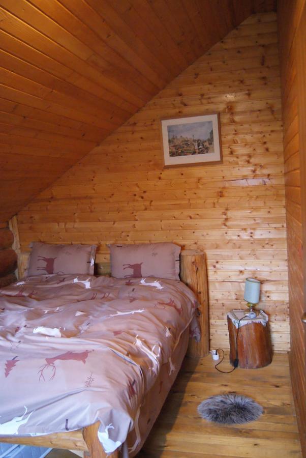 Musketeers Cabin Porumbacu de Sus Εξωτερικό φωτογραφία