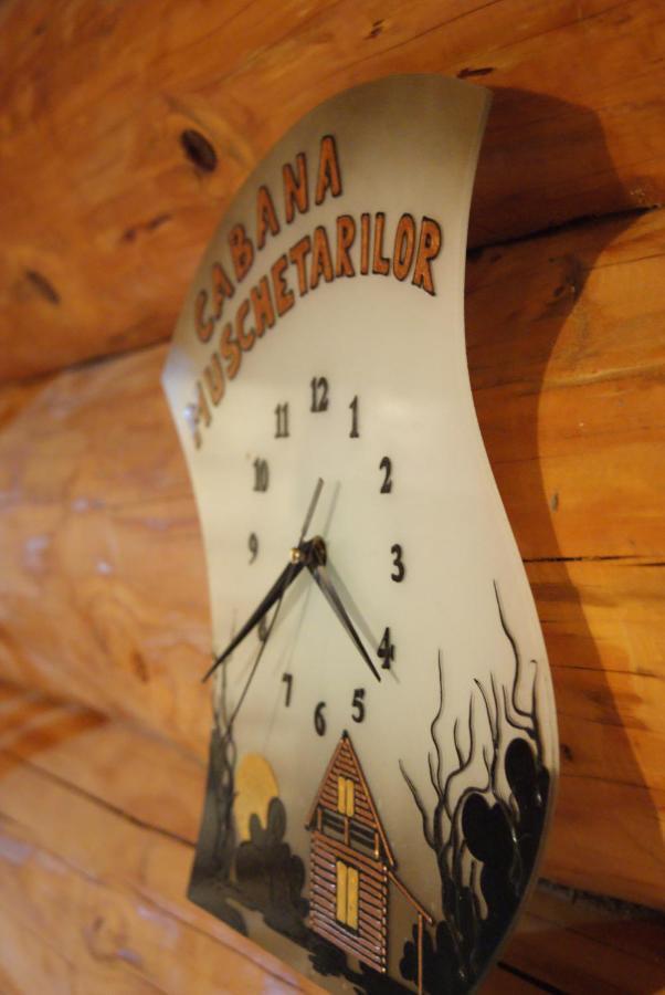 Musketeers Cabin Porumbacu de Sus Εξωτερικό φωτογραφία