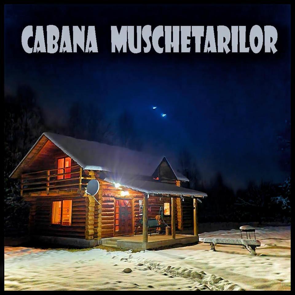 Musketeers Cabin Porumbacu de Sus Εξωτερικό φωτογραφία