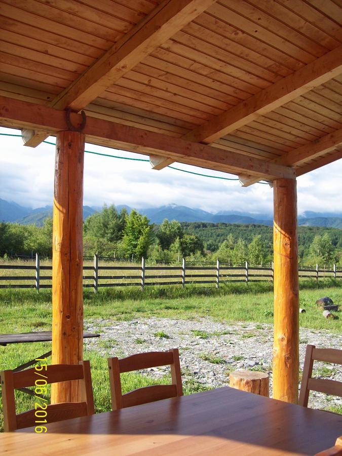 Musketeers Cabin Porumbacu de Sus Εξωτερικό φωτογραφία