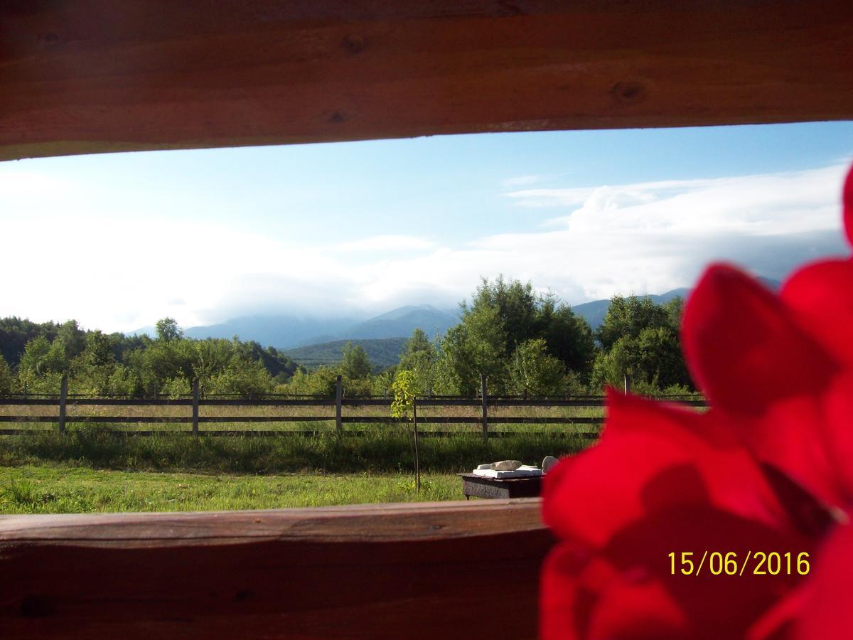 Musketeers Cabin Porumbacu de Sus Εξωτερικό φωτογραφία