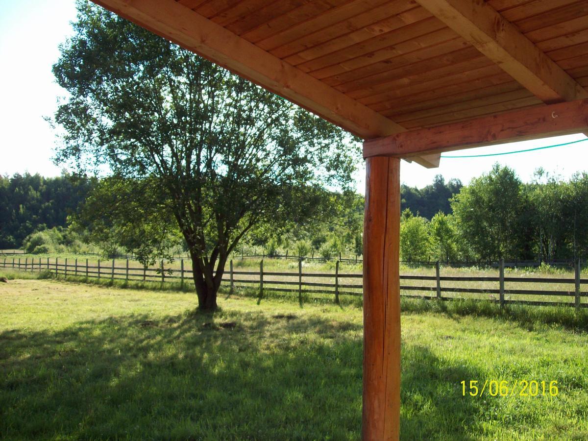 Musketeers Cabin Porumbacu de Sus Εξωτερικό φωτογραφία