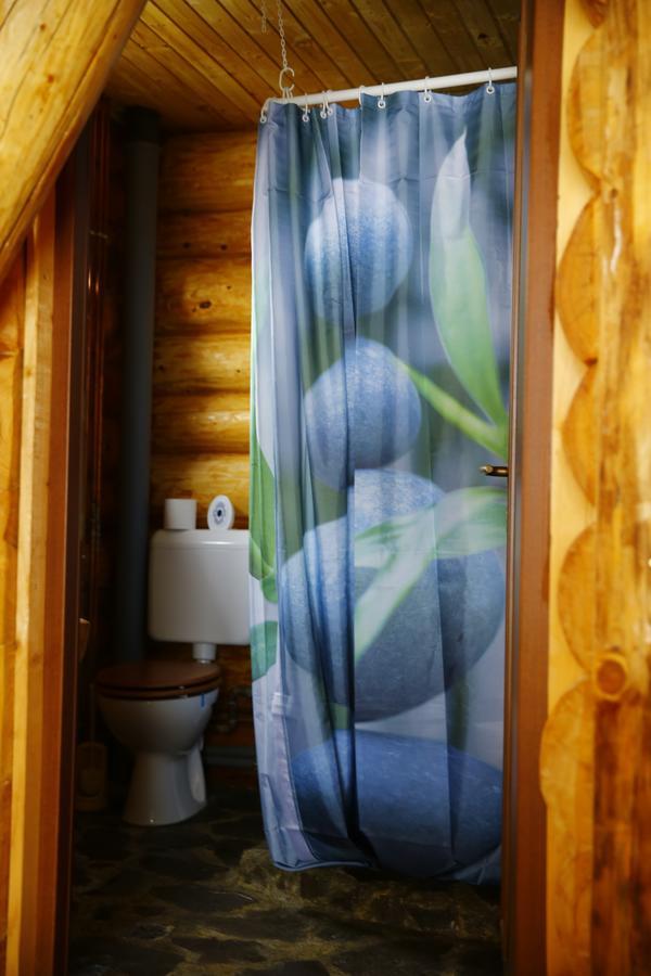 Musketeers Cabin Porumbacu de Sus Εξωτερικό φωτογραφία