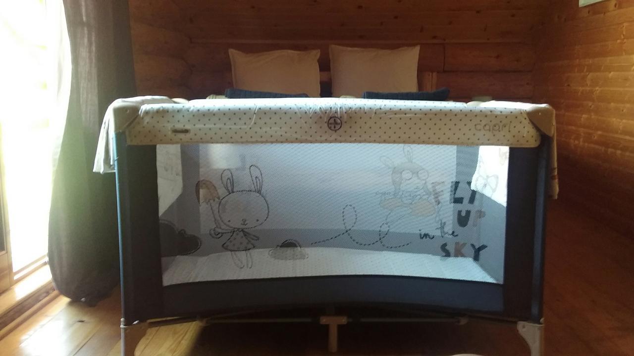 Musketeers Cabin Porumbacu de Sus Εξωτερικό φωτογραφία