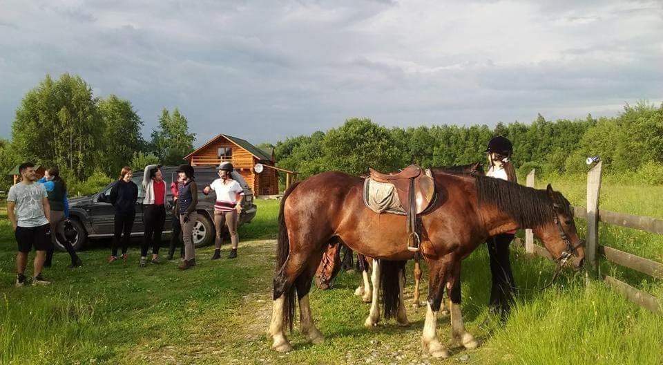 Musketeers Cabin Porumbacu de Sus Εξωτερικό φωτογραφία